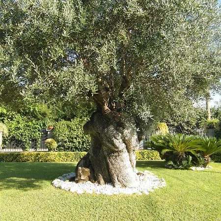 Frühstückspension Lura Pompei