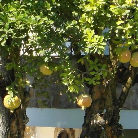 Lura Frühstückspension