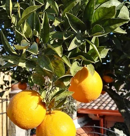 Frühstückspension Lura