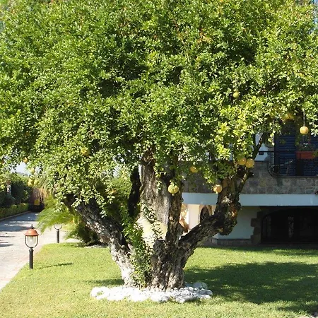 Lura فندق مبيت وإفطار